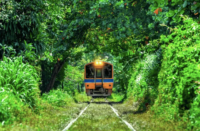 Mayan Train